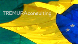 Brazilian flag